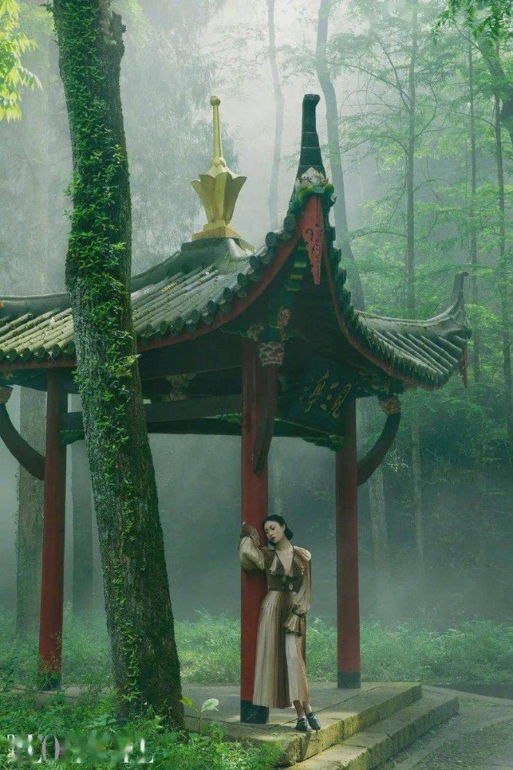 虫虫助手下载