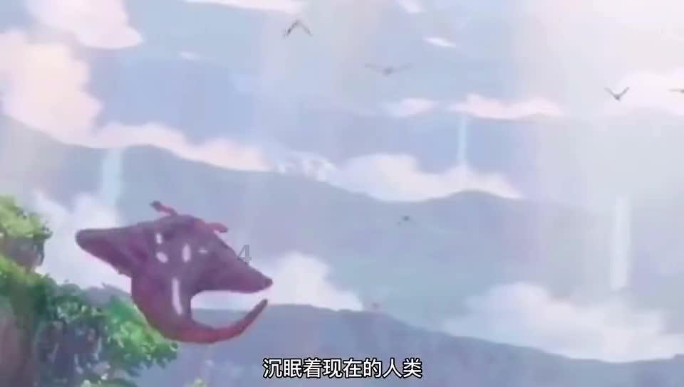 探探猫历险记