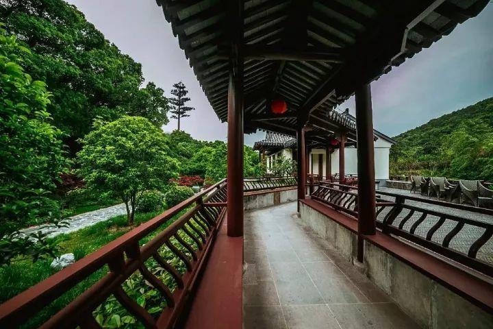 牛头梗和比特那个更厉害