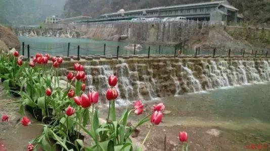 逗小猴开心系列210