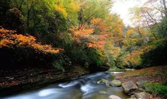 广州放开超120平米住房限购首个周末：二手房咨询量增加，售楼处洽谈桌坐满人