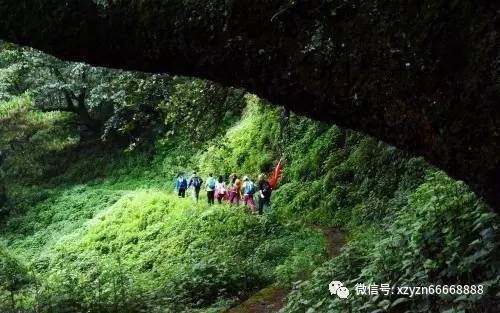 腐烂国度2