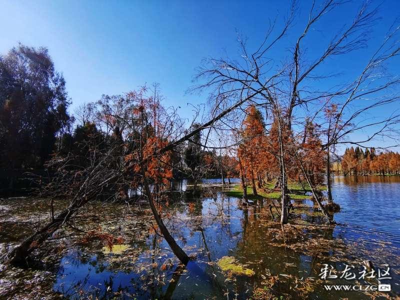 《扬子江文学评论》2023年度文学排行榜发布