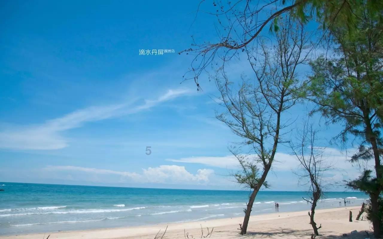 逃离潮湿的房屋
