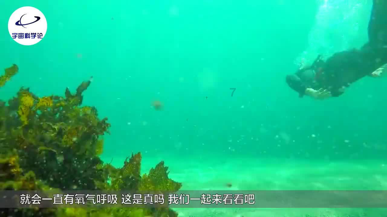 抖音如何查看我搜过的抖音号视频?-机智问答网,快人一步