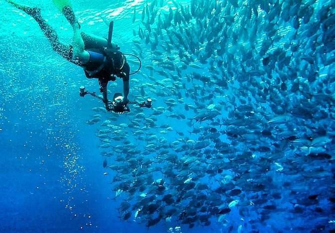 海底世界填颜色4