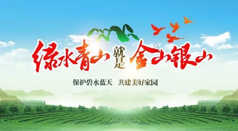 小猫钓鱼开船版最新版下载