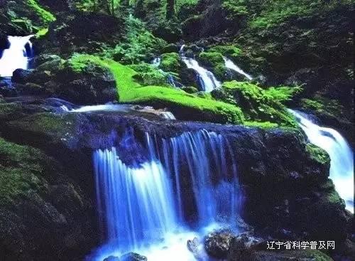 狂丧之尸9