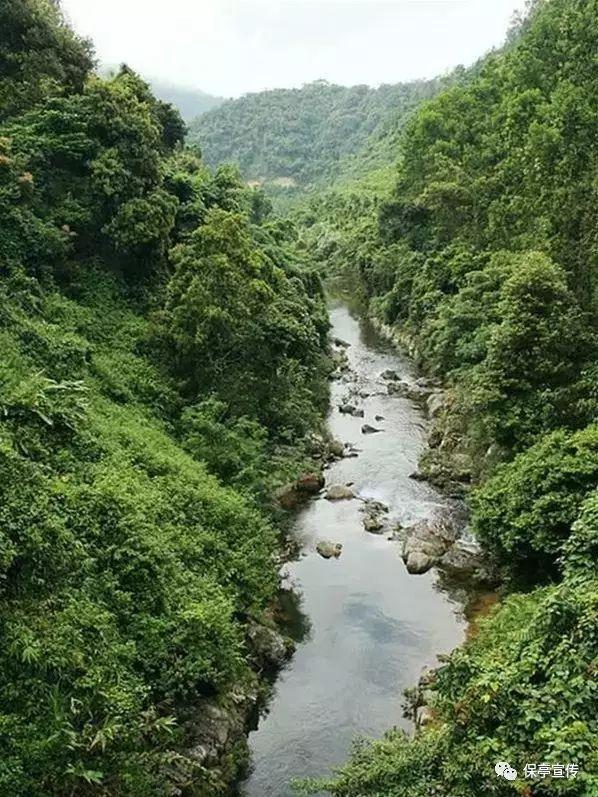 汽车发动机噪音大怎么办？游戏画面