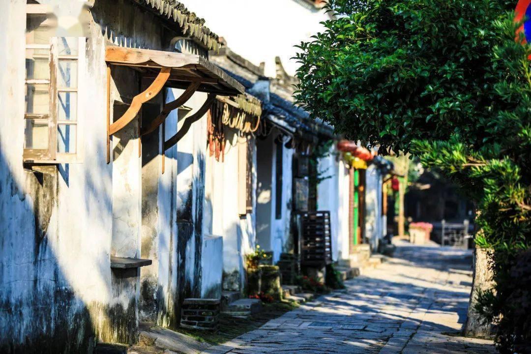 人间水蜜桃阿曼达写真大赏?优雅激情交织,你能否抵住这诱惑之力