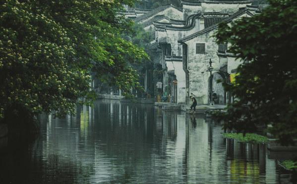 月光影视