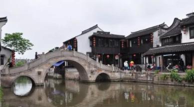 动物帮帮忙保卫家园
