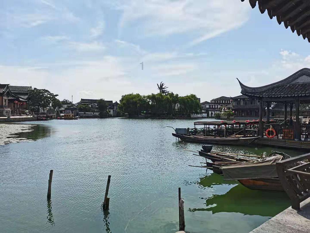 小猫钓鱼游戏龙王版有船